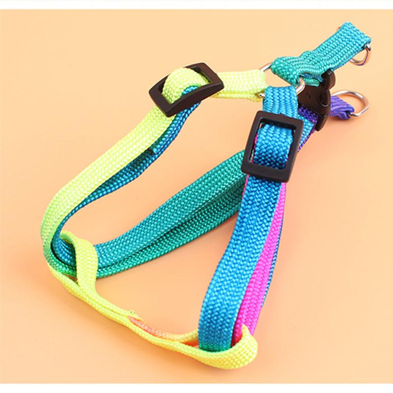 Colorful Pet Harness